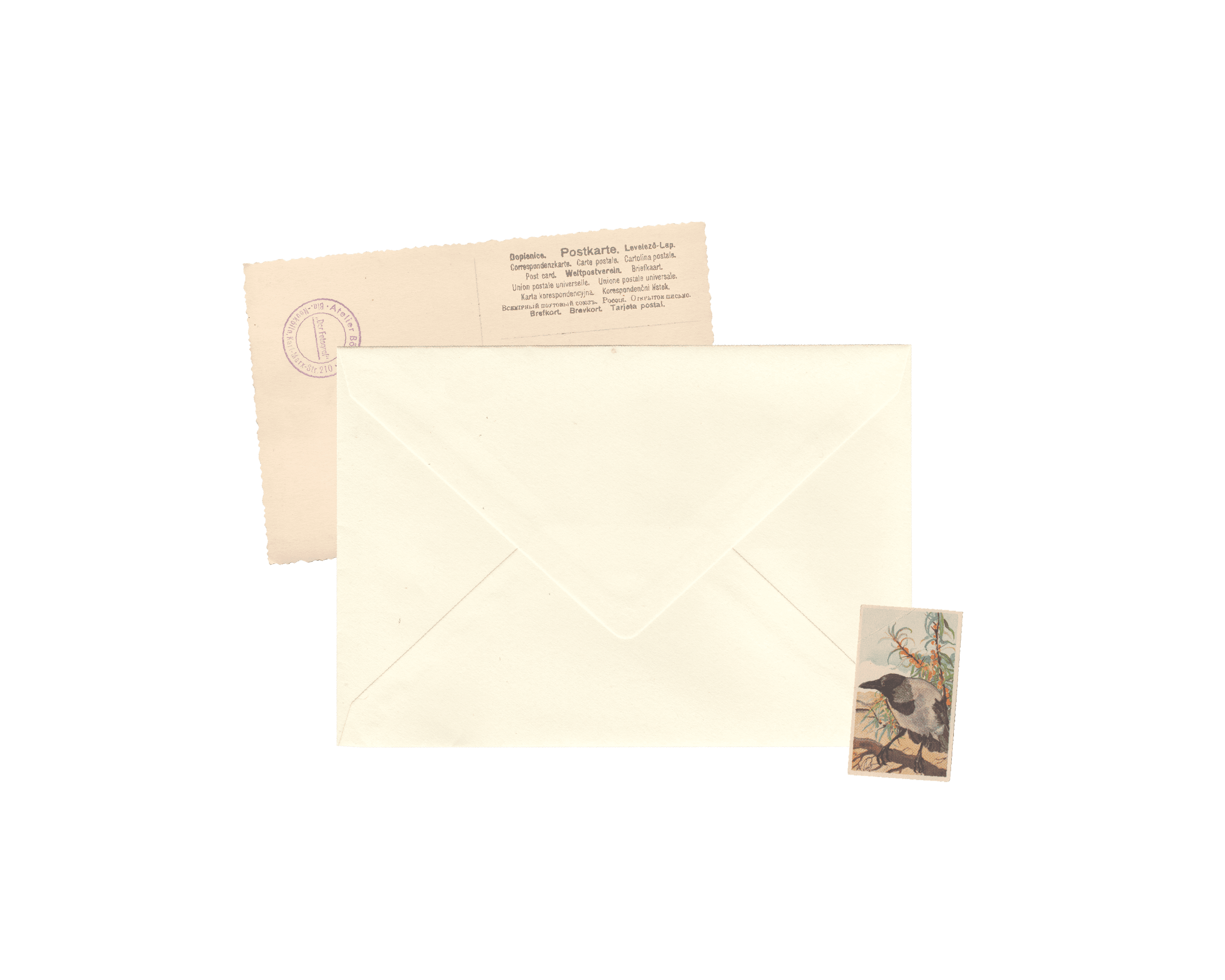 Envelope Contato